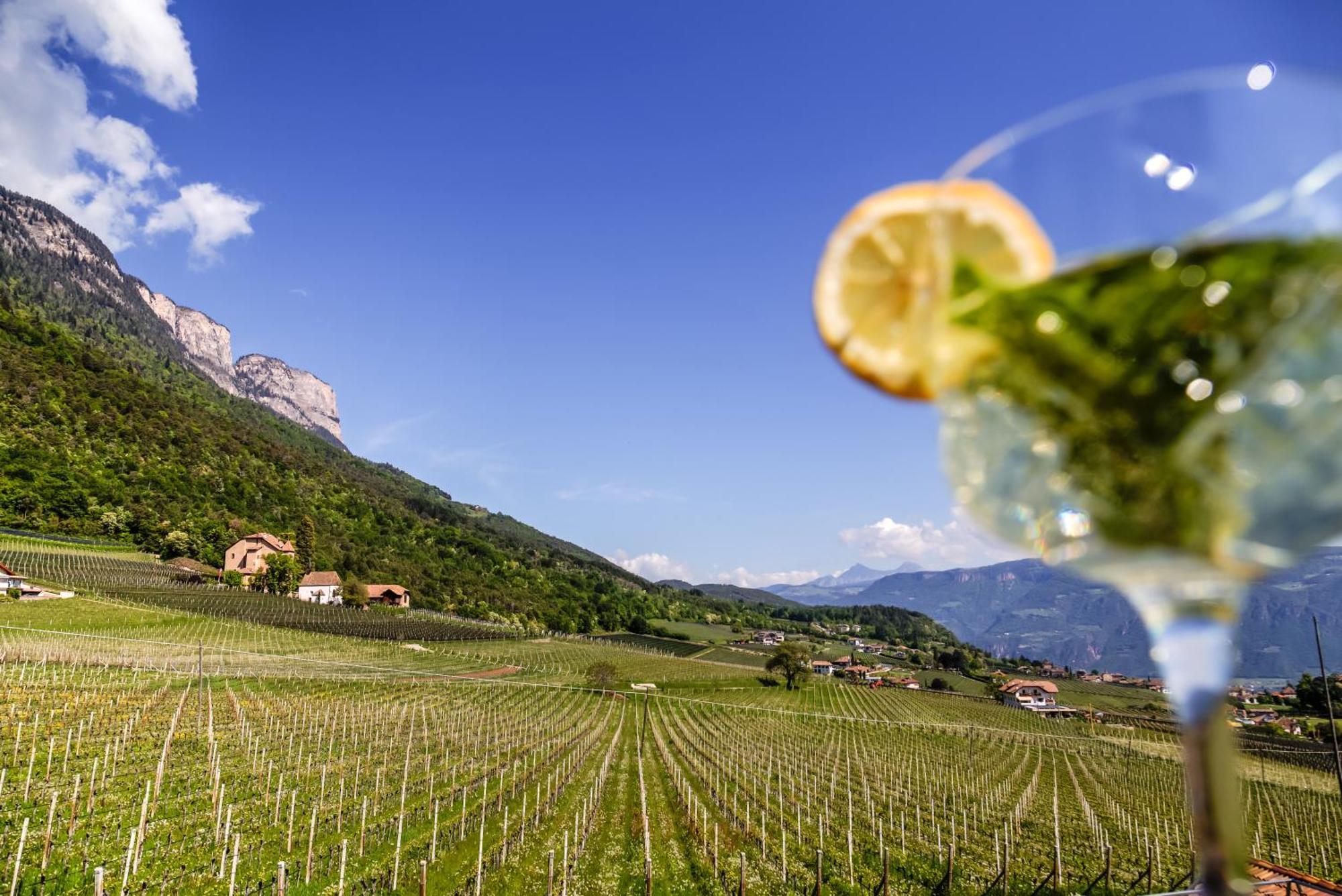 Matscher & Garden Apart-hotel 4*